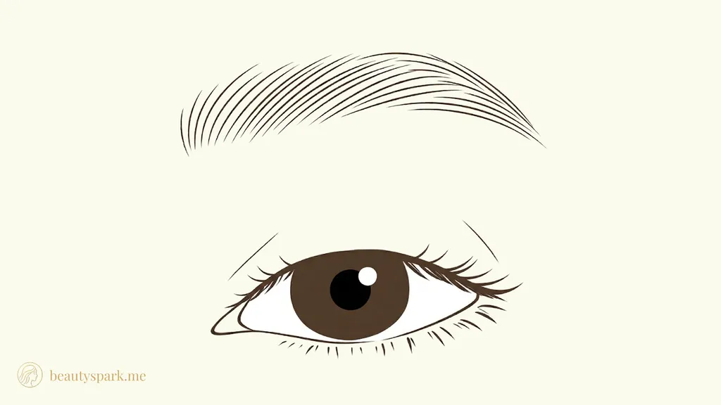 Ilustração de olhos monolid