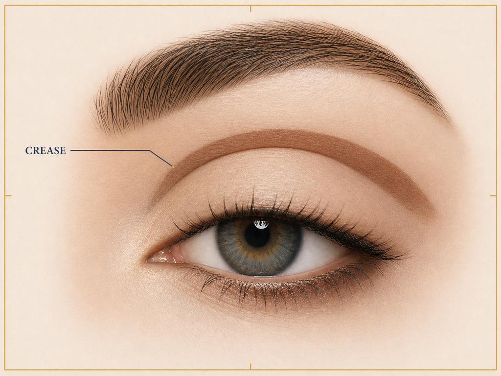 Crease zone highlighted along the socket line of the eye
